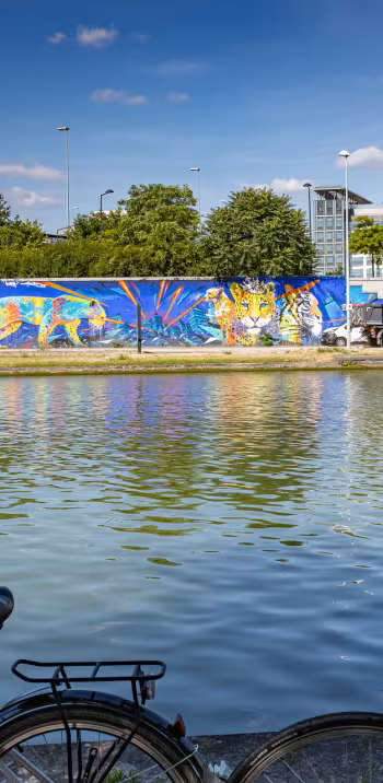 Canal Saint-Denis Street Art Avenue