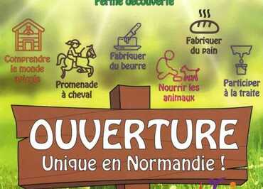 Anymania-val de reuil