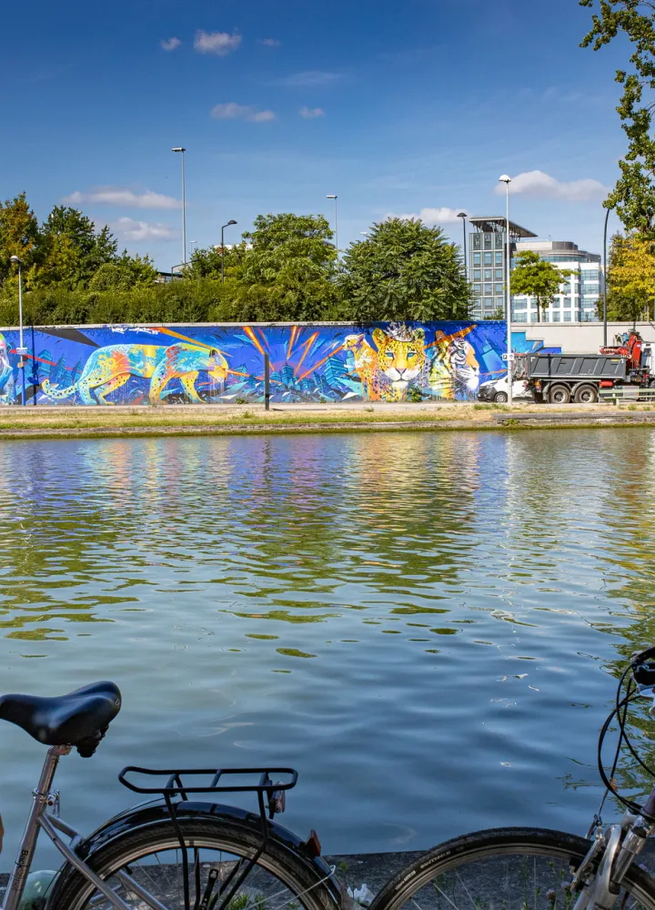 Canal Saint-Denis Street Art Avenue