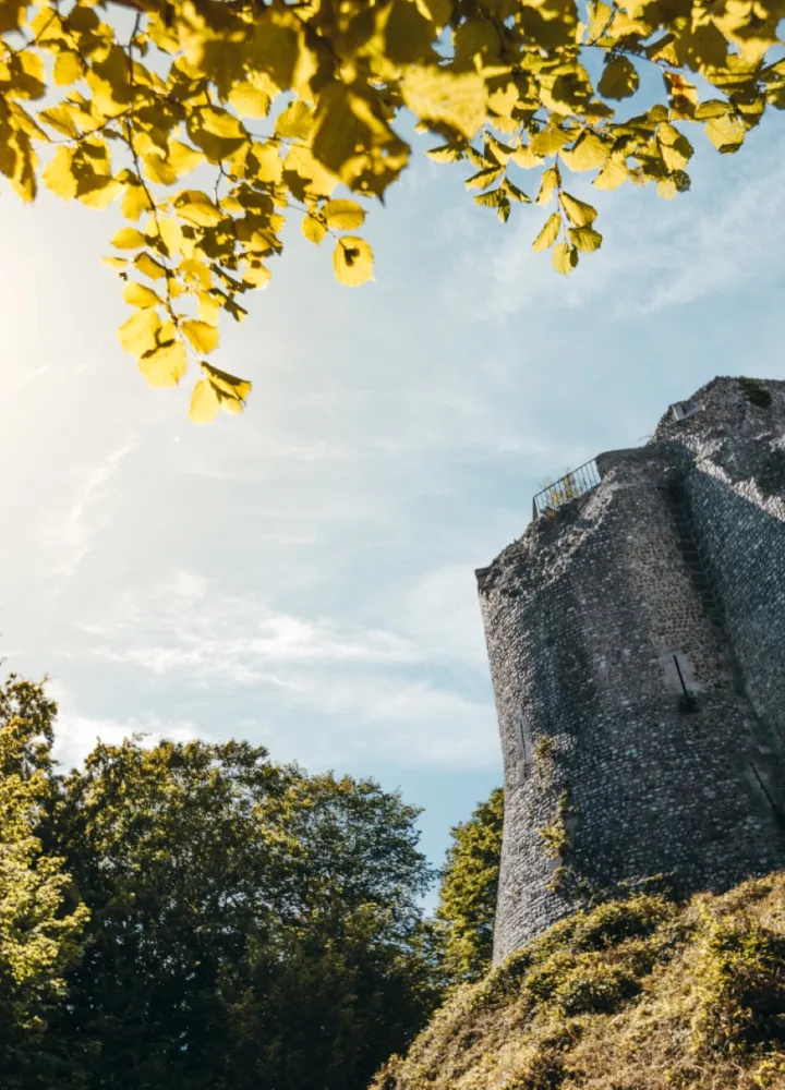 Remparts du Château de Robert le Diable