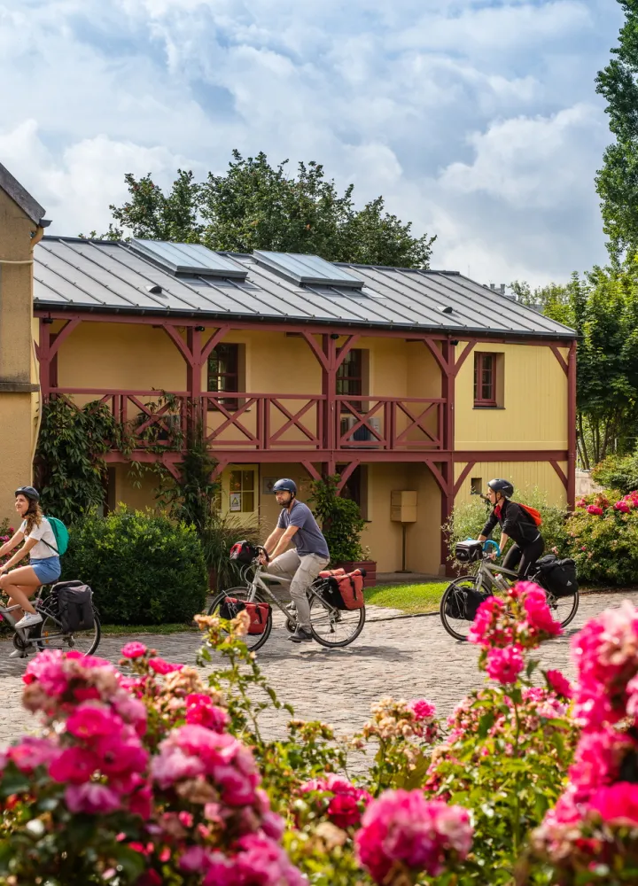 Arrivée de cyclistes au musée Fournaise sur l'île de Chatou