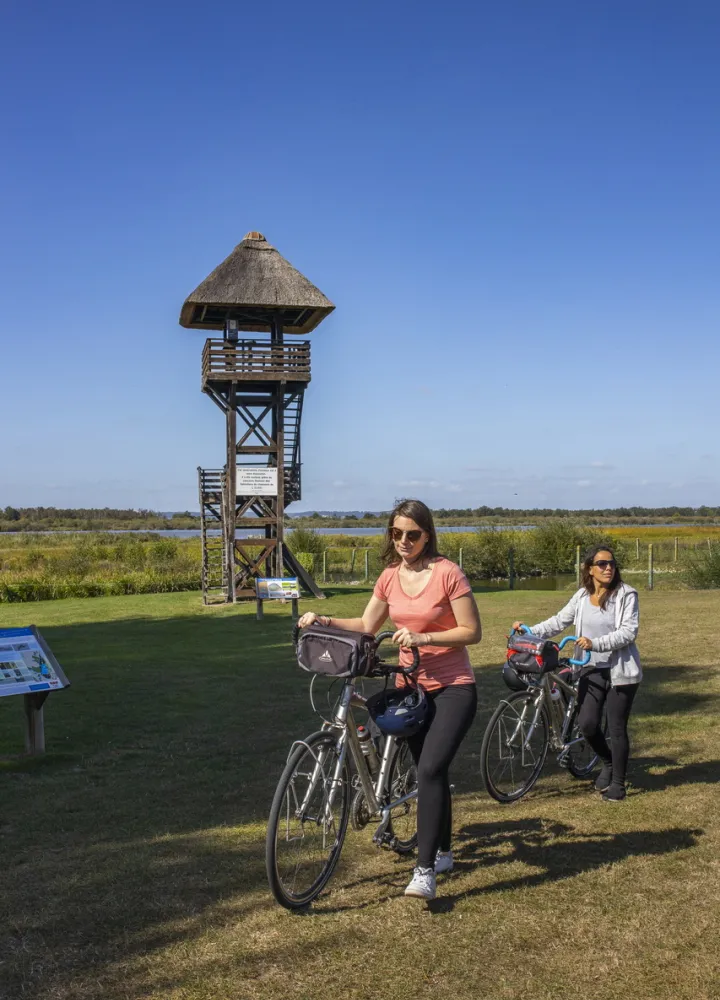 Cyclistes devant l'observatoire d'oiseaux au Marais Vernier 