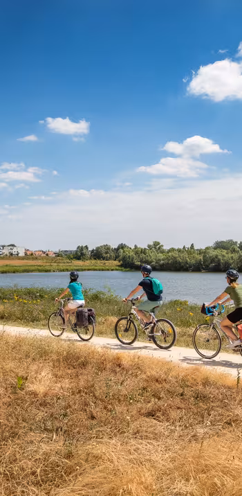 Traversée du Parc du Peuple de l'Herbe à Carrières-sous-Poissy