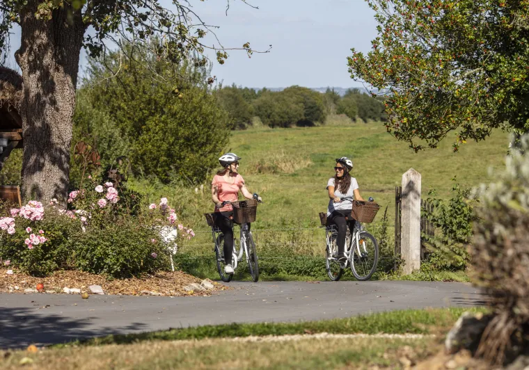 Arrivée au gîte des cigognes à vélo