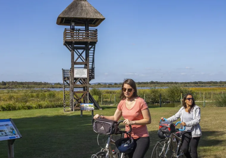 Cyclistes devant l'observatoire d'oiseaux au Marais Vernier 